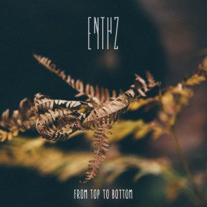 enthz-fromtoptobottomEP