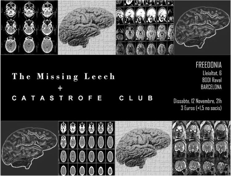 postermissingcatastrofe